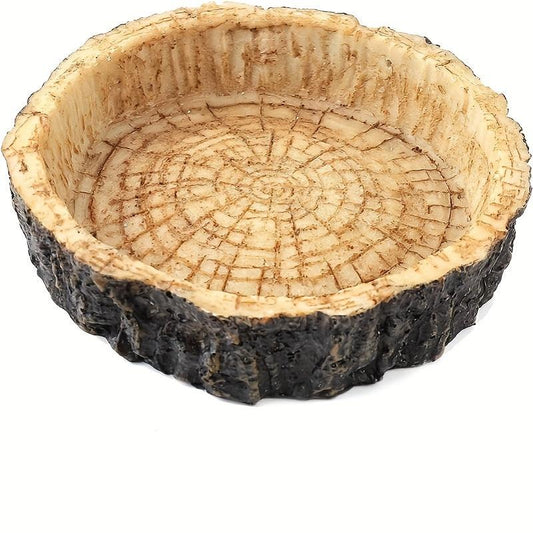 Reptile Food & Water Dish for Lizards, Dragons, Snakes