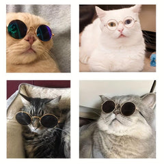 Pet Sunglasses Creative Summer Accessory
