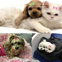 6pcs Stylish Pet Hair Clips for Dogs and Cats - Colorful Hair Accessories