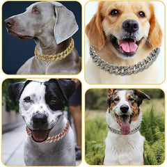 Cuban Chain Dog Collar with Diamond Necklace
