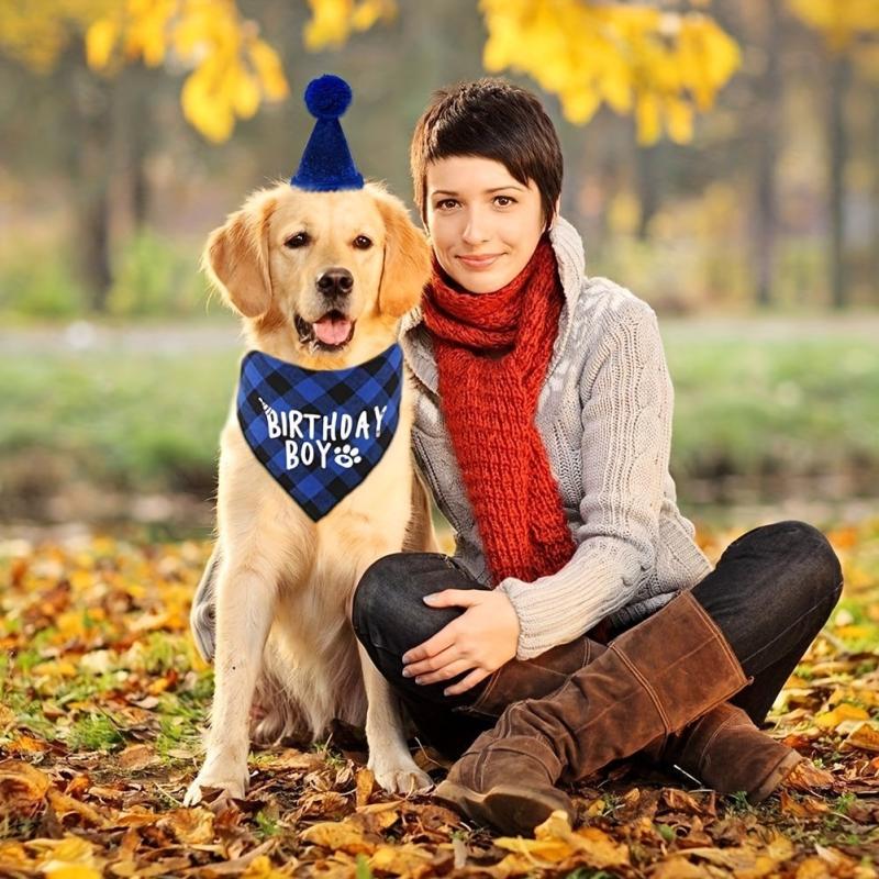 Pet Birthday Bandana & Party Hat Set
