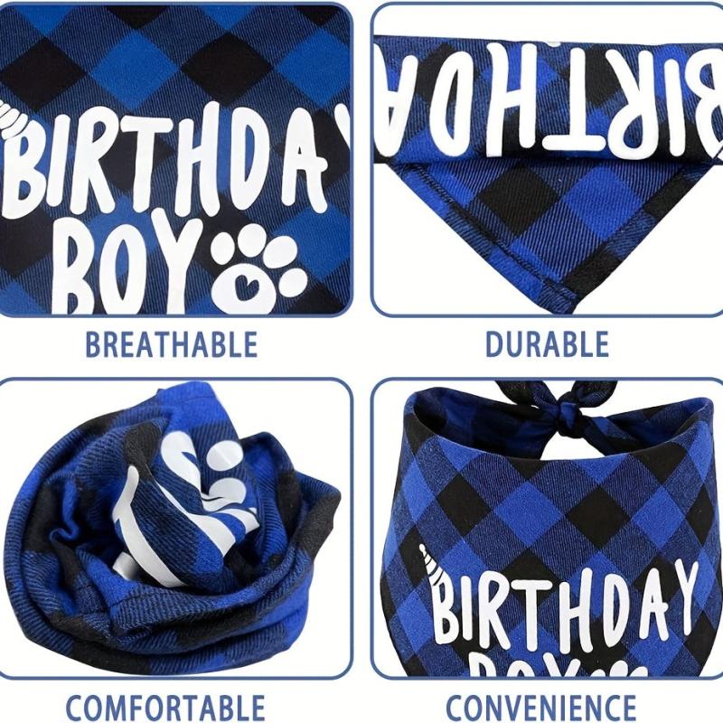 Pet Birthday Bandana & Party Hat Set