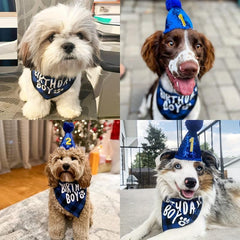 Pet Birthday Bandana & Party Hat Set