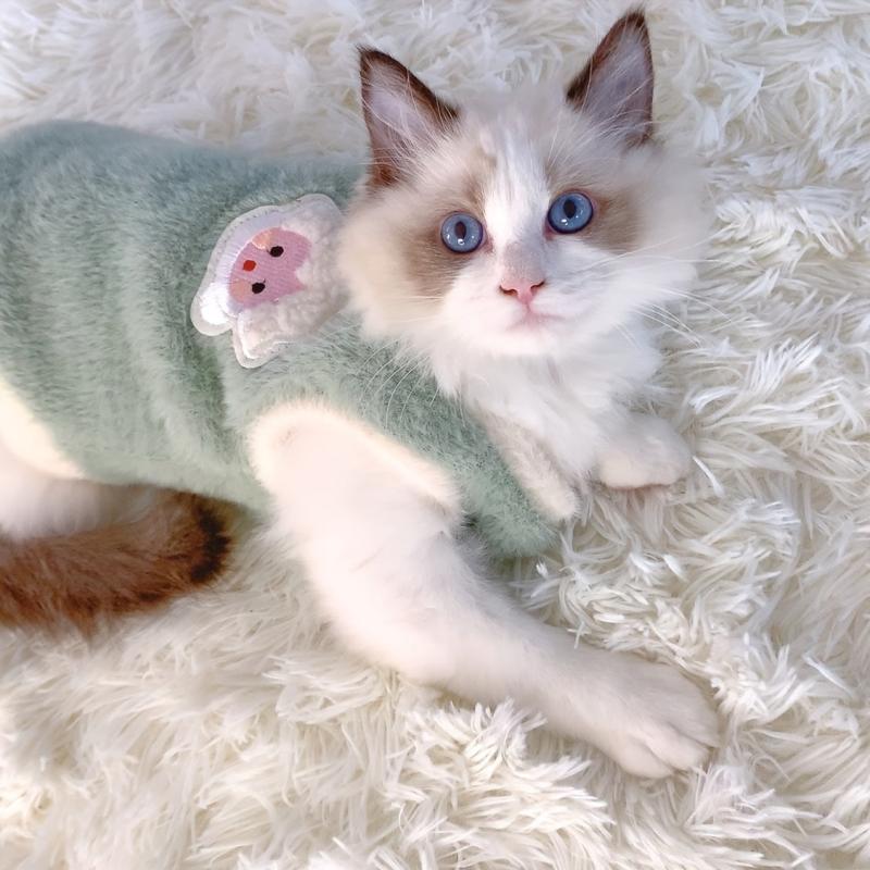 Cozy Sheep Pattern Pet Sweater for Small and Medium Pets