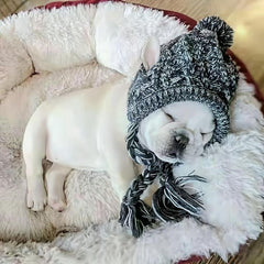 Wool Knitted Pet Hat for Big Dogs with Ear Holes and Tassel