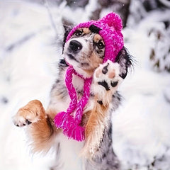 Wool Knitted Pet Hat for Big Dogs with Ear Holes and Tassel