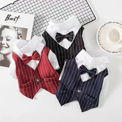 Striped Dog Tuxedo Suit with Bow Tie for Weddings