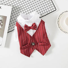Striped Dog Tuxedo Suit with Bow Tie for Weddings