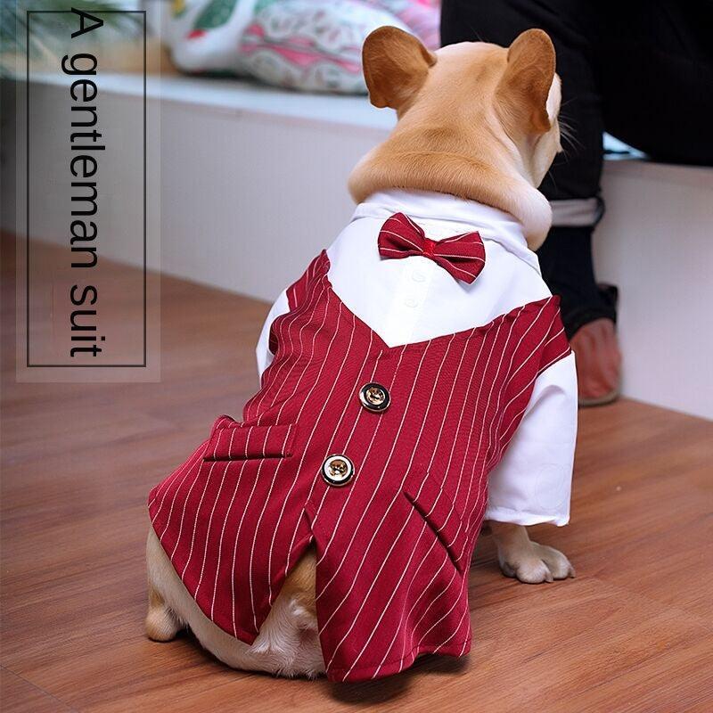 Striped Dog Tuxedo Suit with Bow Tie for Weddings