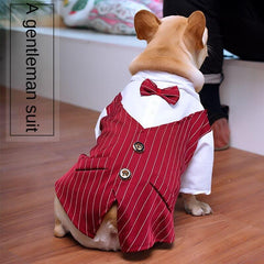 Striped Dog Tuxedo Suit with Bow Tie for Weddings