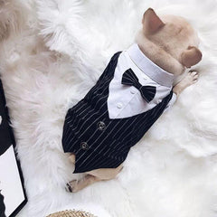 Striped Dog Tuxedo Suit with Bow Tie for Weddings