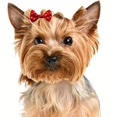 15pcs Dog Hair Bows Clips Accessories Cute Stylish Pet Grooming