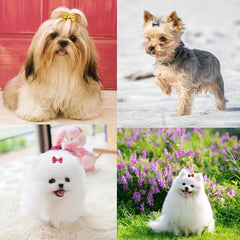 15pcs Dog Hair Bows Clips Accessories Cute Stylish Pet Grooming