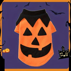 Funny Pumpkin Dog Costume for Halloween Party