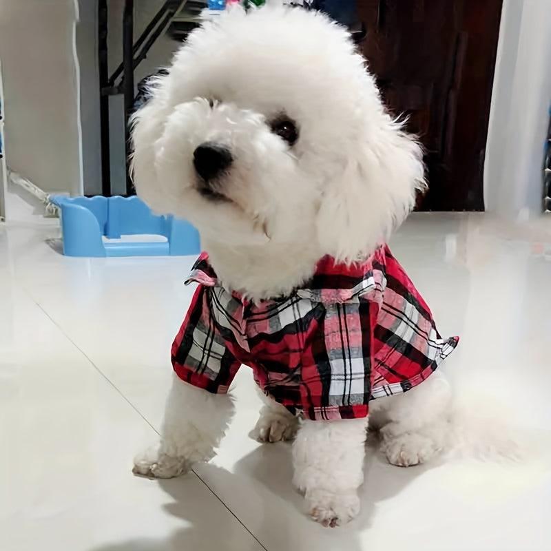 Plaid Shirt Coat for Small Pets Cozy and Stylish
