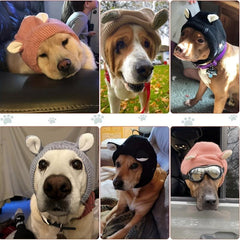 Dog Ear Muffs Noise Protection Winter Hat