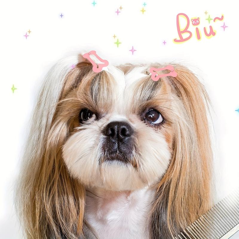 40pcs Multicolor Bone Shaped Pet Hair Clips and Grooming Bows
