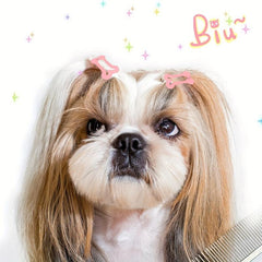 40pcs Multicolor Bone Shaped Pet Hair Clips and Grooming Bows