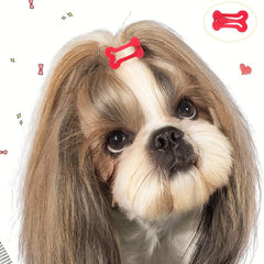 40pcs Multicolor Bone Shaped Pet Hair Clips and Grooming Bows