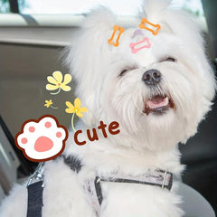 40pcs Multicolor Bone Shaped Pet Hair Clips and Grooming Bows