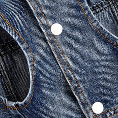 Stylish Denim Dog Vest for Everyday Wear and Outdoor Activities
