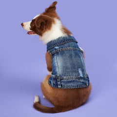 Stylish Denim Dog Vest for Everyday Wear and Outdoor Activities