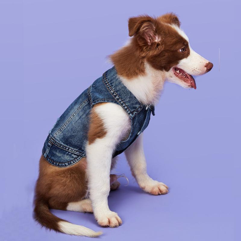 Stylish Denim Dog Vest for Everyday Wear and Outdoor Activities