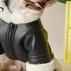 Dog Winter Wear Coat Fur Integrated Motorcycle Dog Jacket Small To Large Pet