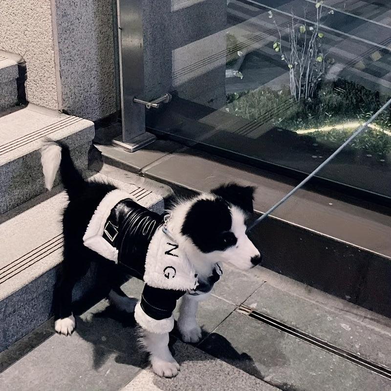 Dog Winter Wear Coat Fur Integrated Motorcycle Dog Jacket Small To Large Pet