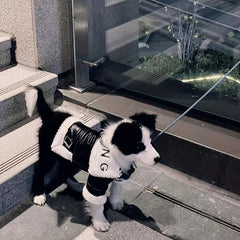 Dog Winter Wear Coat Fur Integrated Motorcycle Dog Jacket Small To Large Pet