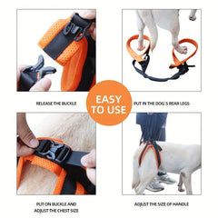 Adjustable Pet Dog Leg Support Harness with Handle for Elderly or Injured