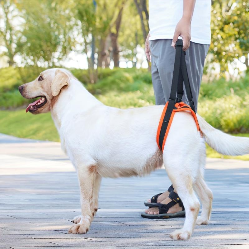 Adjustable Pet Dog Leg Support Harness with Handle for Elderly or Injured