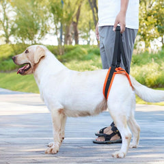 Adjustable Pet Dog Leg Support Harness with Handle for Elderly or Injured