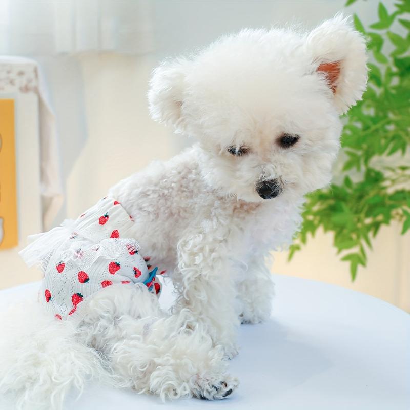 Cute Flower Print Pet Sanitary Pants for Female Dogs