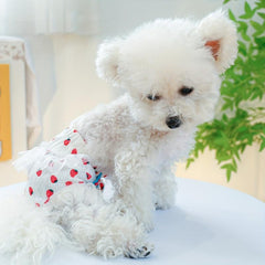 Cute Flower Print Pet Sanitary Pants for Female Dogs