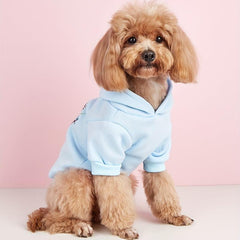 Warm and Cozy Hedgehog Pet Hoodie for Autumn and Winter
