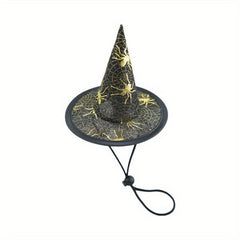 Adorable Witch Hats for Your Pet This Halloween