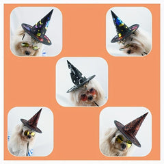 Adorable Witch Hats for Your Pet This Halloween
