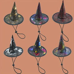 Adorable Witch Hats for Your Pet This Halloween