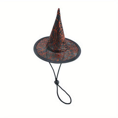 Adorable Witch Hats for Your Pet This Halloween