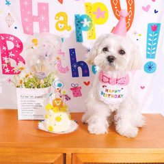 Pet Birthday Bandana & Hat Set for Small/Middle Dogs
