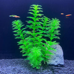 Artificial Fish Tank Water Grass Plastic Aquarium Ornament