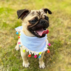 Plaid Pet Bandana with Tassel for Dogs/Cats - Holiday & Everyday Wear