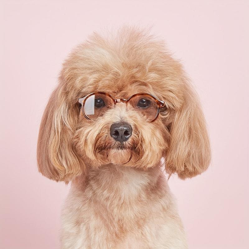 Funny Leopard Print Pet Glasses for Cat and Dog Photo Props