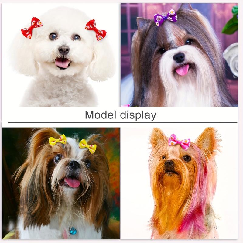 10pcs Floral Hair Ties for Dogs and Cats with Bowknot