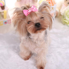 Pet Ribbon Decor Bow Hair Clips for Dog and Cat Accessories