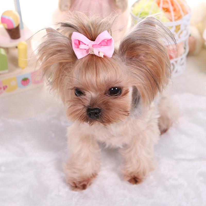 Pet Ribbon Decor Bow Hair Clips for Dog and Cat Accessories