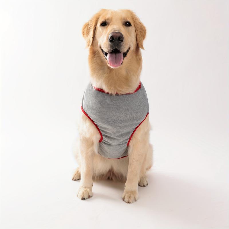 Pet Mommy's Boy Tank Top for Summer