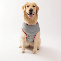 Pet Mommy's Boy Tank Top for Summer