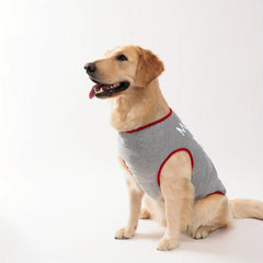 Pet Mommy's Boy Tank Top for Summer